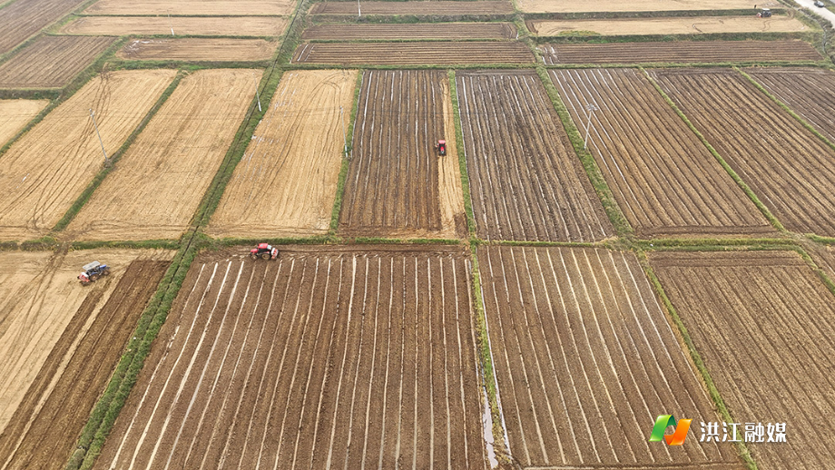 微信图片_20251106165120_814_317.jpg 微信图片_20251106165120_814_317.jpg