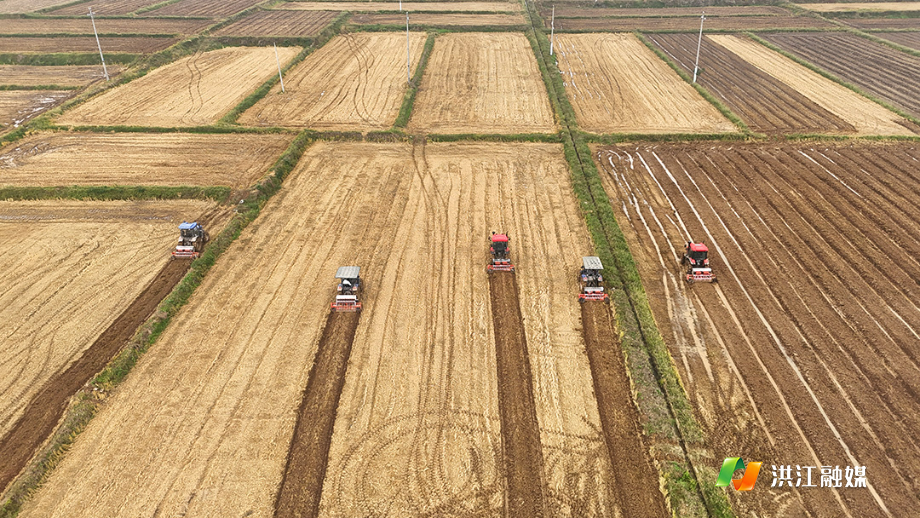 微信图片_20251106165110_813_317.jpg 微信图片_20251106165110_813_317.jpg