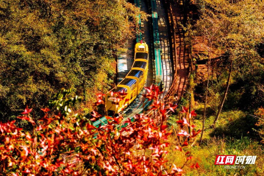 微信图片_20251106151038_954_214.jpg 微信图片_20251106151038_954_214.jpg