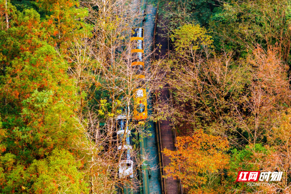 微信图片_20251106151036_952_214.jpg 微信图片_20251106151036_952_214.jpg