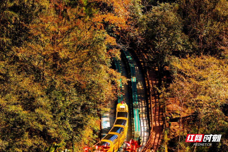 微信图片_20251106151037_953_214.jpg 微信图片_20251106151037_953_214.jpg