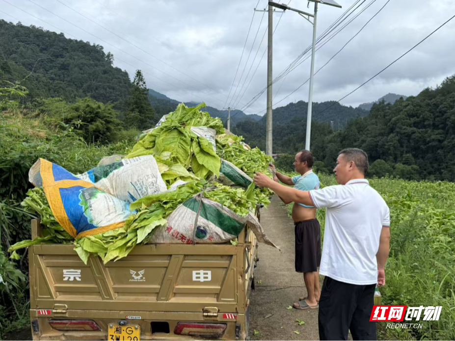 图片2.png 图片2.png