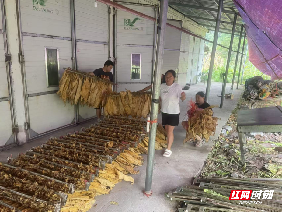 图片3.png 图片3.png