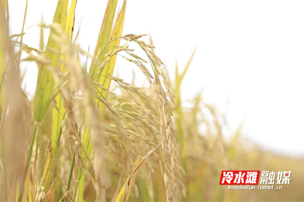 dec2017acb5b2f7839b1df2b0fa72c56.jpg dec2017acb5b2f7839b1df2b0fa72c56.jpg