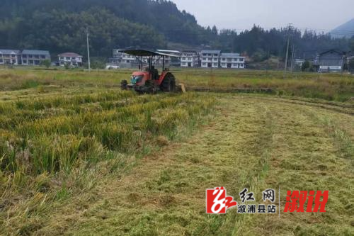 微信图片_20251103132114.jpg 微信图片_20251103132114.jpg