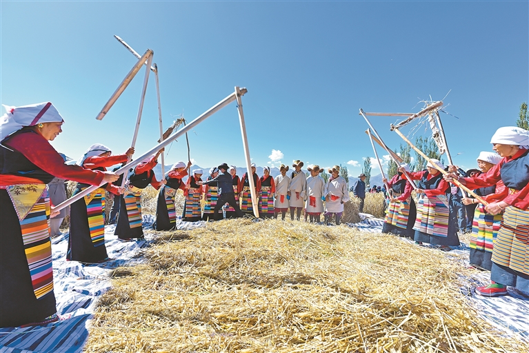 谈青稞田丰收——“藏粮藏在土里、粮藏在科技