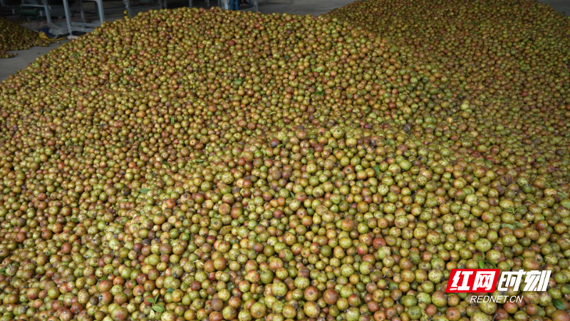 image015.jpg image015.jpg