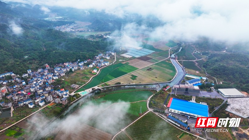 湖南新田:云雾缭绕乡村美如仙境3.jpg
