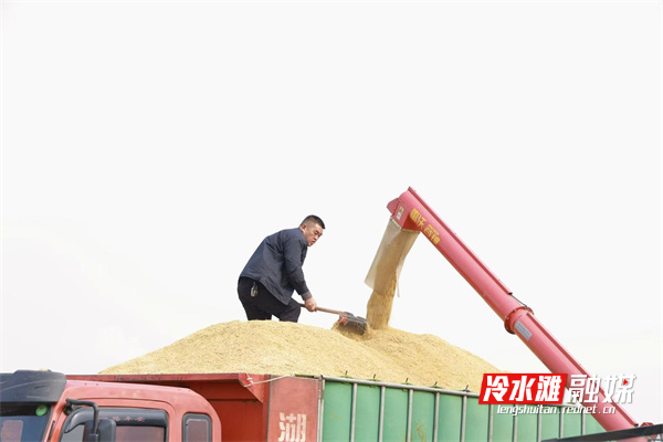 18323853470e10a6ad62543bb2f8fe40.jpg 18323853470e10a6ad62543bb2f8fe40.jpg