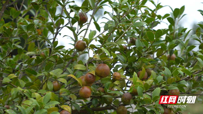 image013.jpg image013.jpg