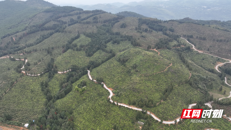 image005.jpg image005.jpg