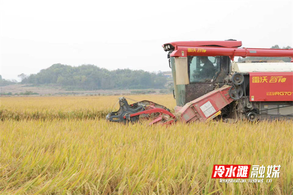 e22f77756e5b8bee0b994f16f8481917.jpg e22f77756e5b8bee0b994f16f8481917.jpg