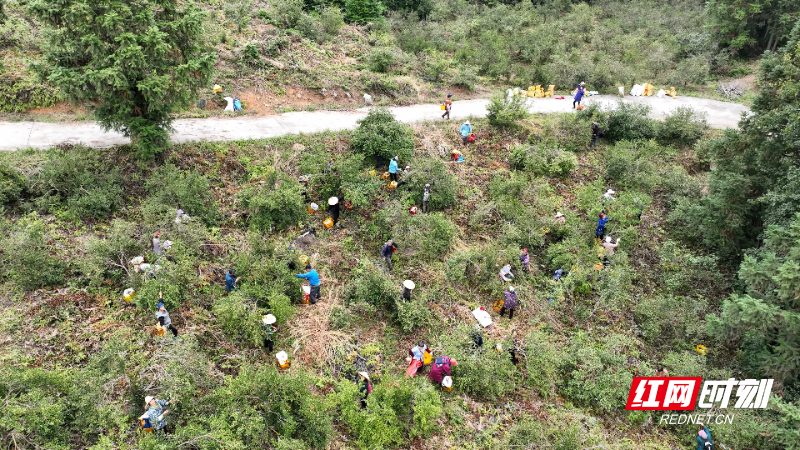 image001.jpg image001.jpg