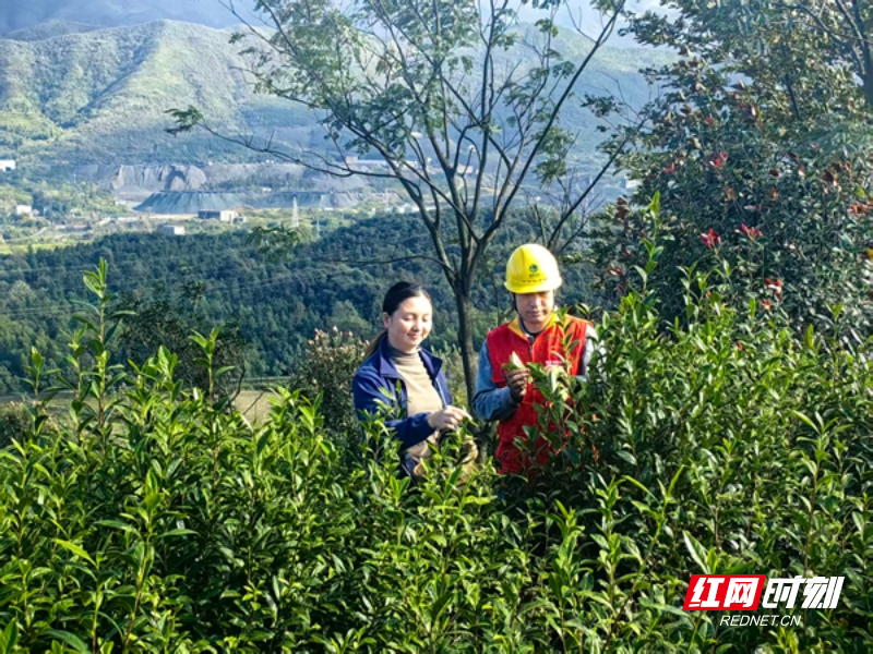 微信图片_20251106145357_29_533.jpg 微信图片_20251106145357_29_533.jpg