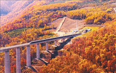 东北省际高铁首次形成闭环（产业经济观察·项目