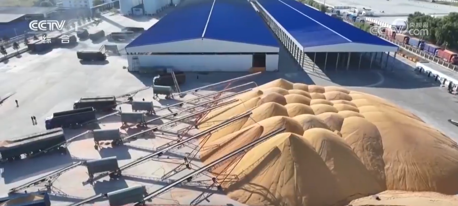 瓜果飘香好“丰”景 特色产业绘就乡村振兴“繁荣图”