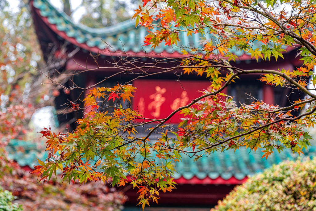 岁暖时刻｜初冬寻景×晒图解锁城市美好 网友优秀作品投票