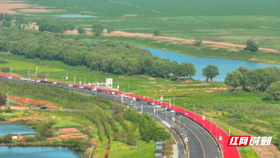 图片5.png 图片5.png