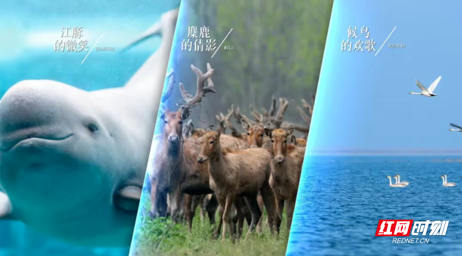 图片7.png 图片7.png