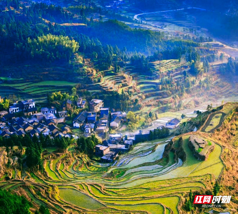 梯田.jpg