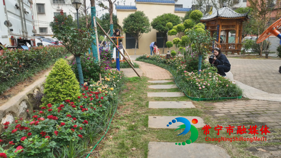 huahua (1).jpg huahua (1).jpg