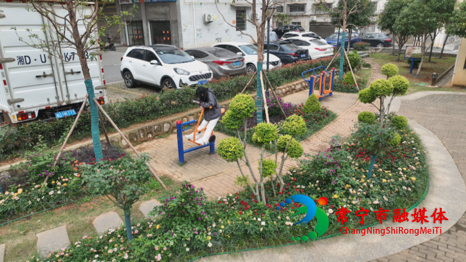 huahua (2).jpg huahua (2).jpg