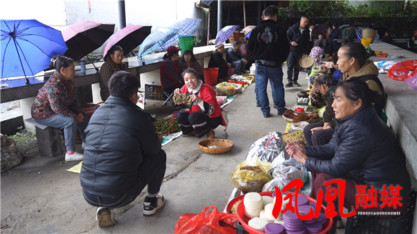 Still1108_00004.jpg Still1108_00004.jpg