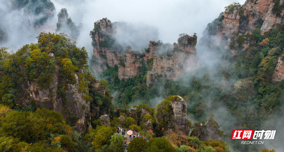 微信图片_20251108202559_203_112.jpg 微信图片_20251108202559_203_112.jpg