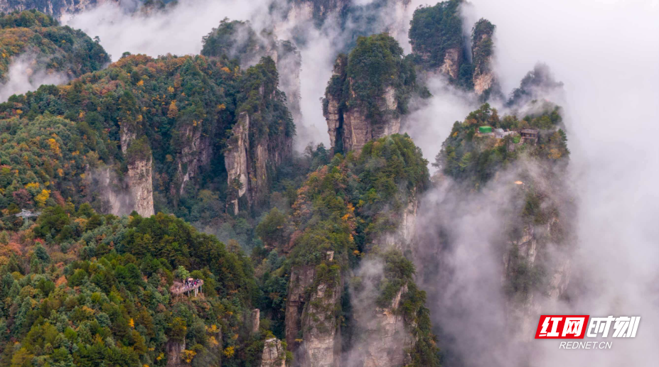 微信图片_20251108202408_202_112.jpg 微信图片_20251108202408_202_112.jpg