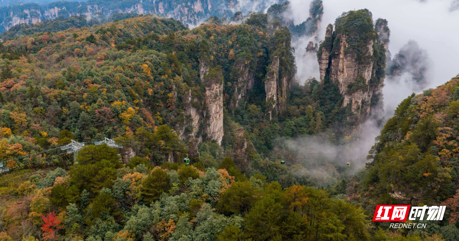 微信图片_20251108202745_204_112.jpg 微信图片_20251108202745_204_112.jpg