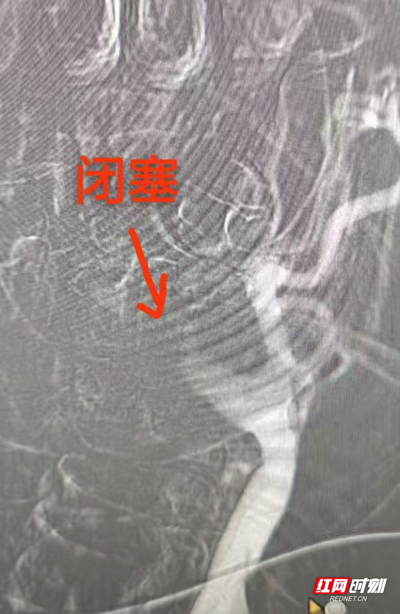 微信图片_20251106154241_775_215.jpg 微信图片_20251106154241_775_215.jpg