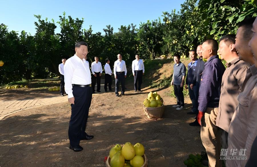 发展研究｜习近平总书记的故事关心推动老区发