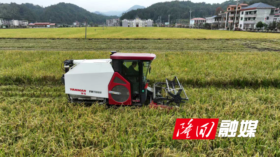 微信图片_2025-11-08_093736_195.jpg 微信图片_2025-11-08_093736_195.jpg