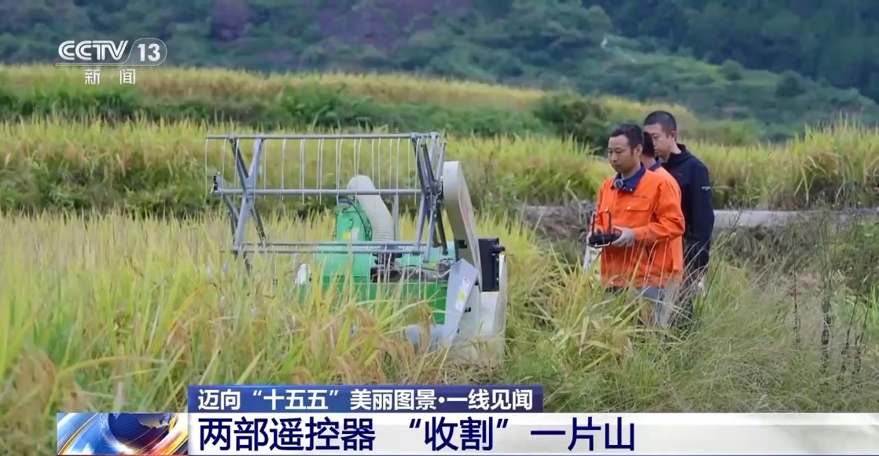 视频丨从“无机可用”到“大选机”，丘陵山区