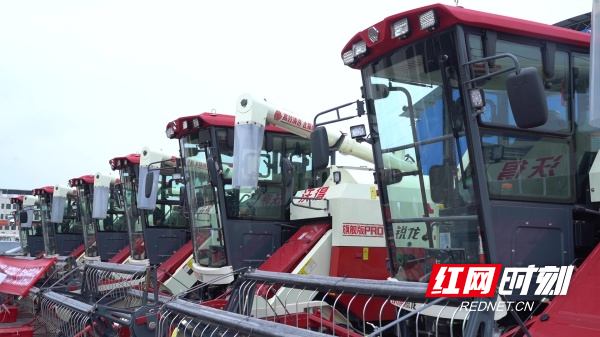 vlcsnap-2025-11-08-21h39m16s102.jpg vlcsnap-2025-11-08-21h39m16s102.jpg