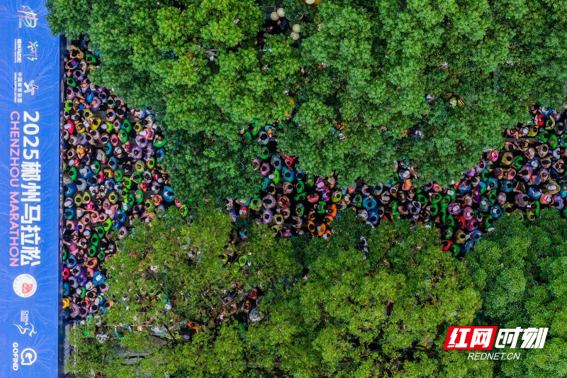 微信图片_20251109121152_227_1152.jpg 微信图片_20251109121152_227_1152.jpg