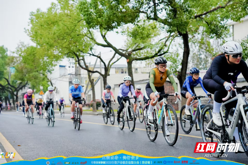 图片8.png 图片8.png