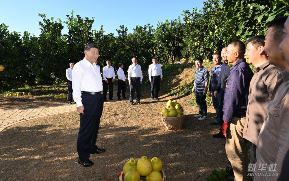 习近平在广东省梅州市考察调研