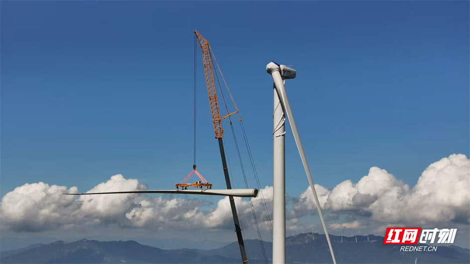 89db7236dcfd592d3e4a45ee4a851759.jpg 89db7236dcfd592d3e4a45ee4a851759.jpg