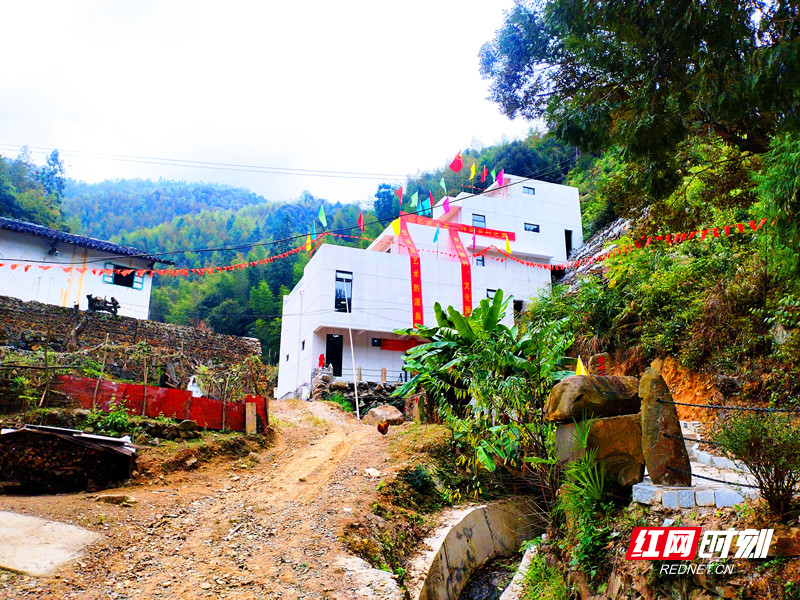 微信图片_20251110084201_副本_副本.jpg 微信图片_20251110084201_副本_副本.jpg