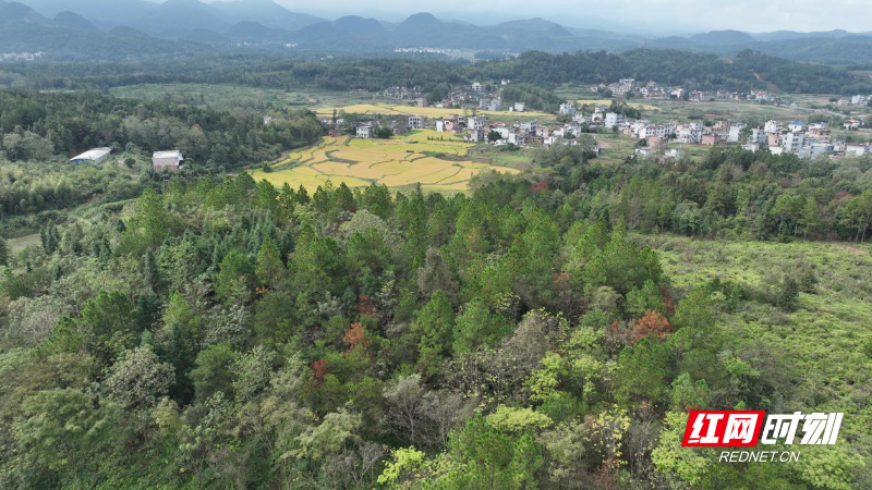 image001.jpg image001.jpg