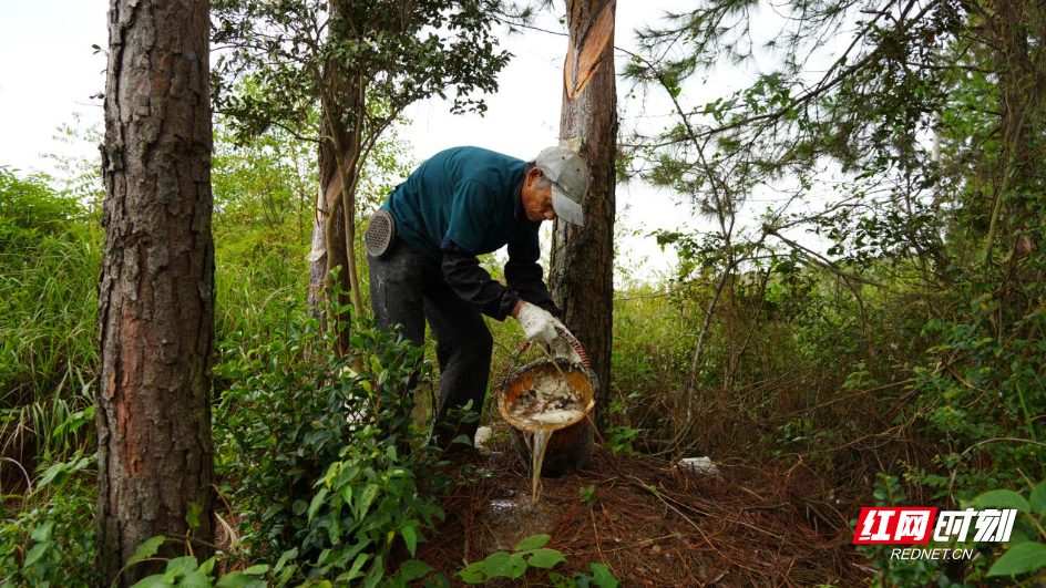 image003.jpg image003.jpg