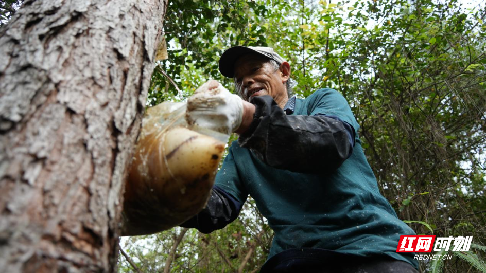 image015.jpg image015.jpg