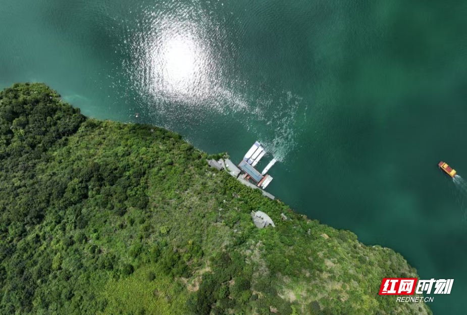 微信图片_20250506091147.jpg 微信图片_20250506091147.jpg