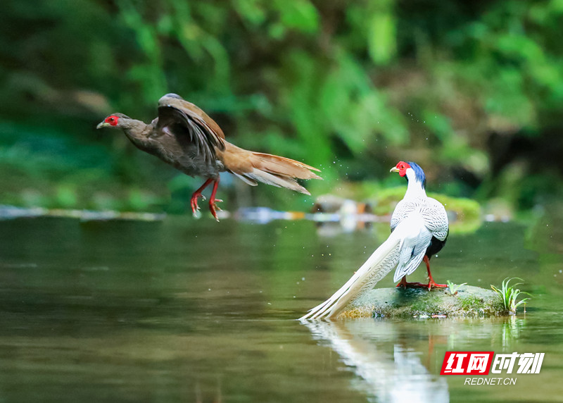 微信图片_20250508155435.jpg 微信图片_20250508155435.jpg