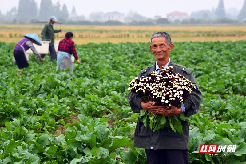 组图丨《秋天的收获》