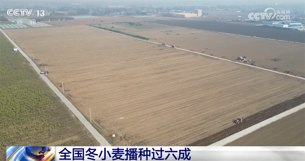 “好机遇+好技术+好种子”助力秋冬季按下“加速