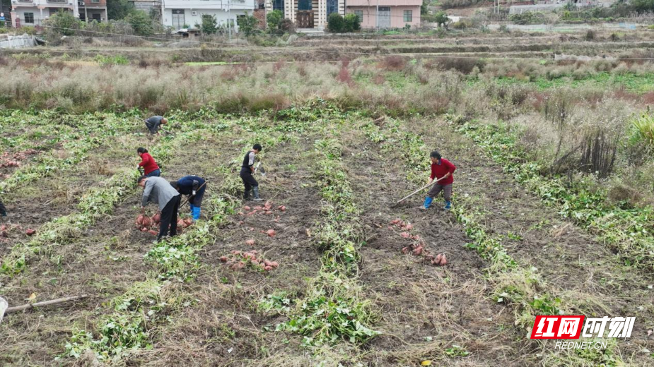 图片6.png 图片6.png