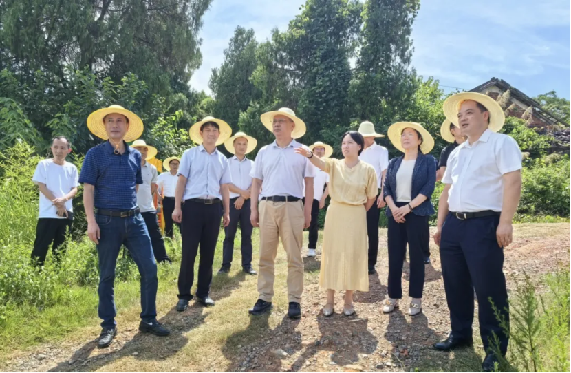 湖南政协新闻网 湖南政协新闻网