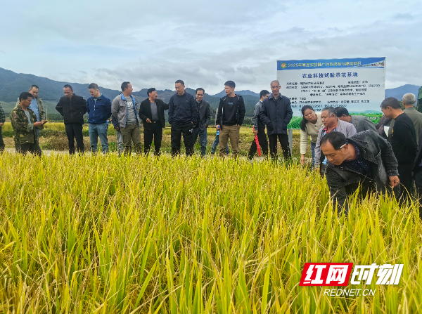 湖南江永：农技培训“接地气” 乡村振兴添活力3.jpg